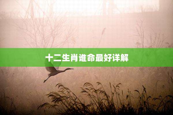 十二生肖谁命最好详解