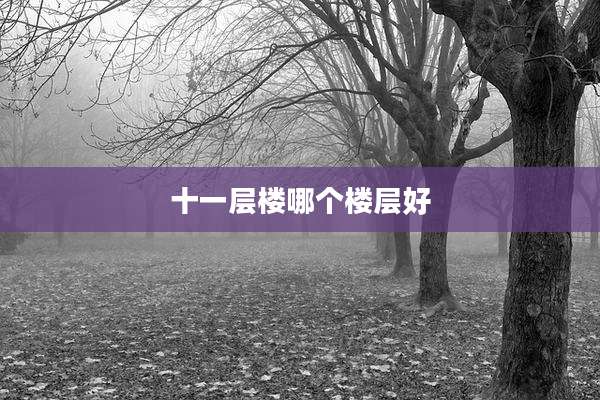 十一层楼哪个楼层好