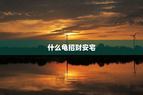 什么龟招财安宅