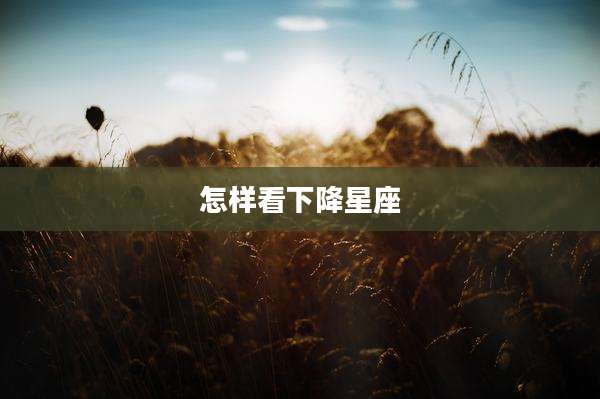 怎样看下降星座