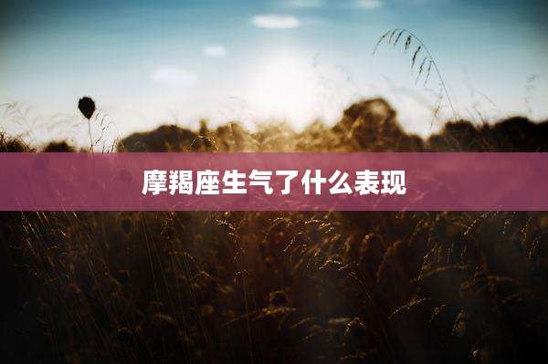 摩羯座生气了什么表现