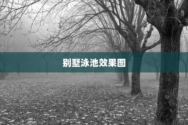 别墅泳池效果图