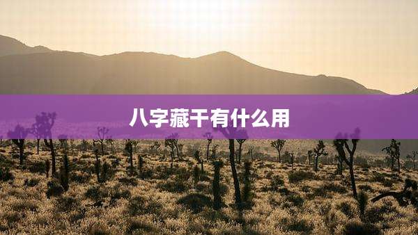 八字藏干有什么用