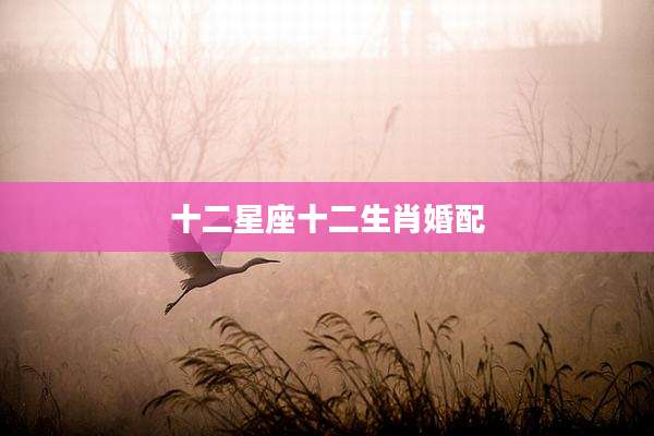 十二星座十二生肖婚配