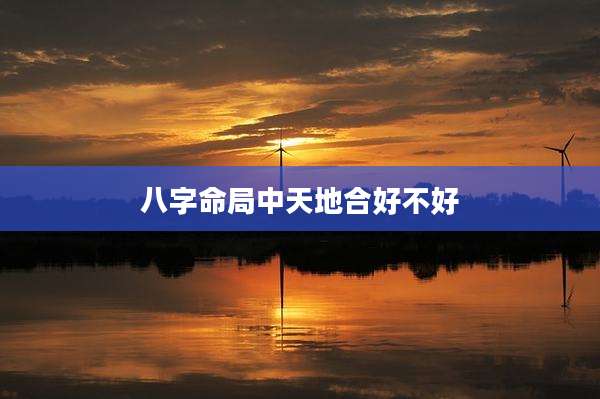 八字命局中天地合好不好