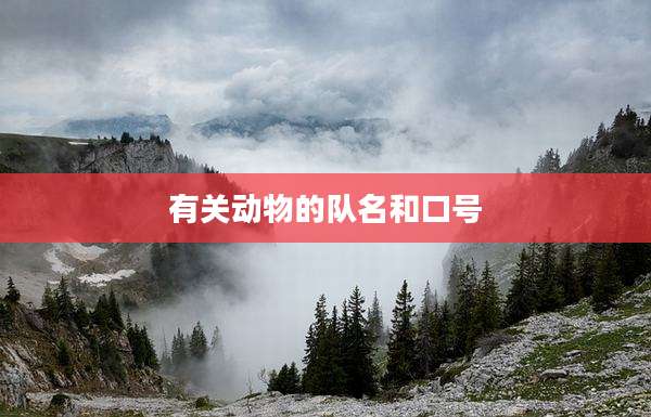 有关动物的队名和口号