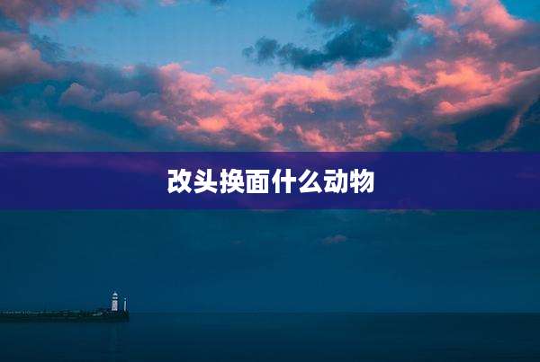 改头换面什么动物