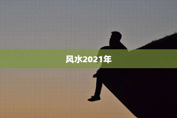 风水2021年