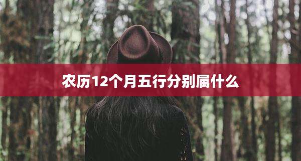 农历12个月五行分别属什么