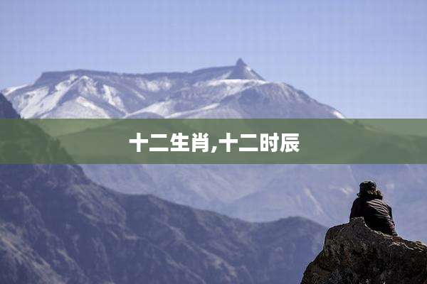 十二生肖,十二时辰