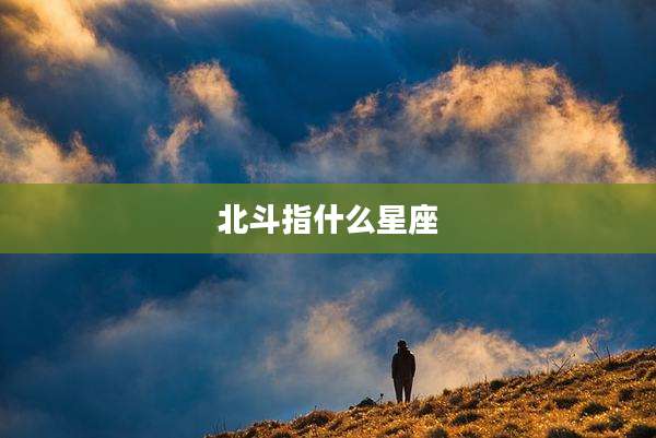 北斗指什么星座