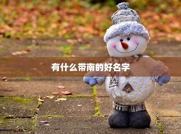 有什么带南的好名字