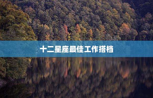 十二星座最佳工作搭档