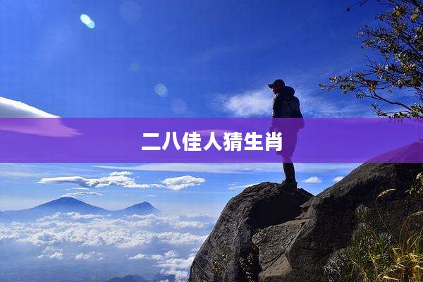 二八佳人猜生肖