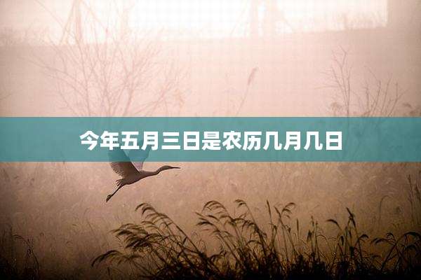 今年五月三日是农历几月几日