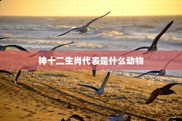 神十二生肖代表是什么动物