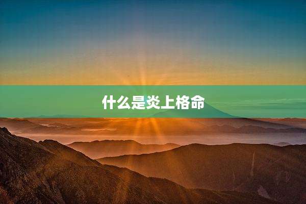 什么是炎上格命