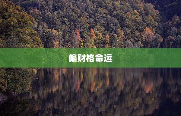 偏财格命运