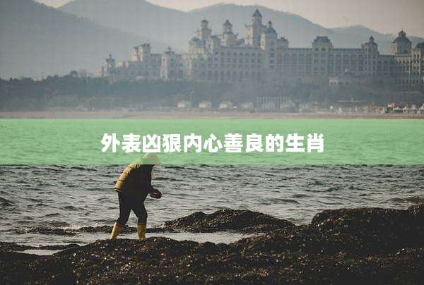 外表凶狠内心善良的生肖