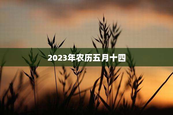 2023年农历五月十四