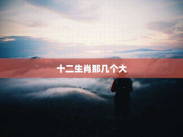 十二生肖那几个大