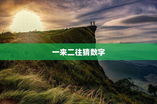 一来二往猜数字