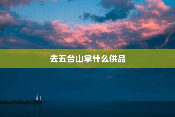 去五台山拿什么供品