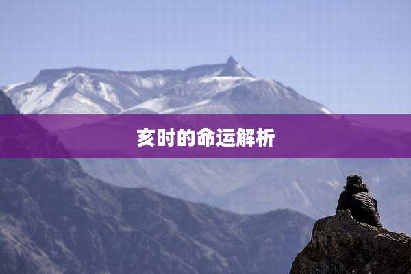 亥时的命运解析