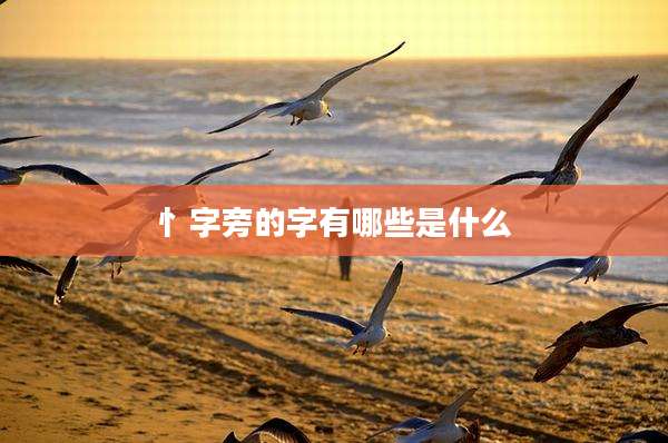 忄字旁的字有哪些是什么