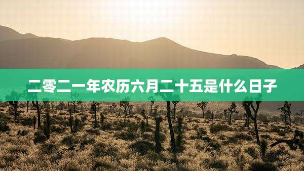 二零二一年农历六月二十五是什么日子