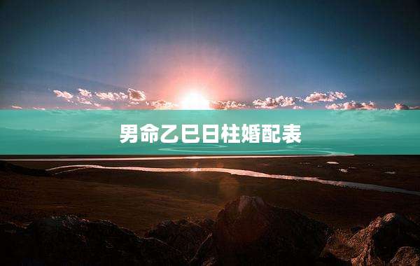男命乙巳日柱婚配表