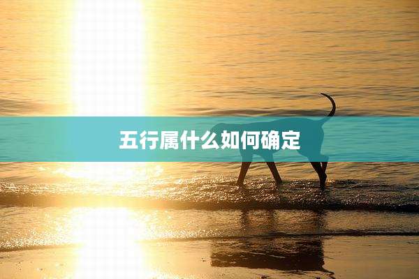 五行属什么如何确定