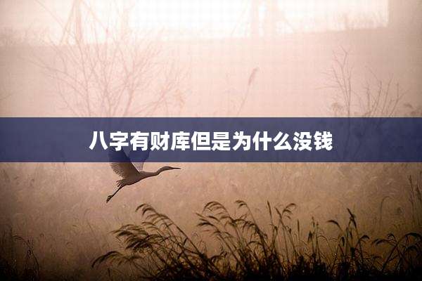 八字有财库但是为什么没钱