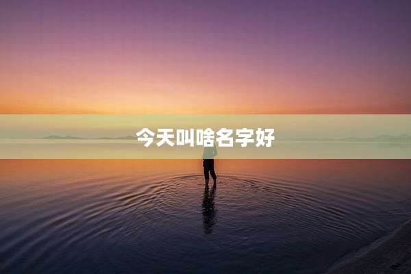 今天叫啥名字好