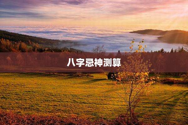 八字忌神测算