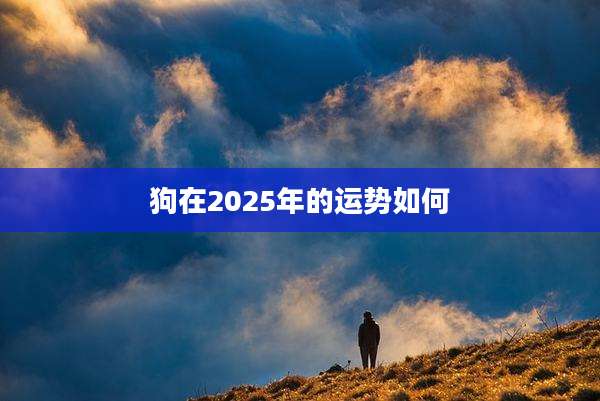 狗在2025年的运势如何