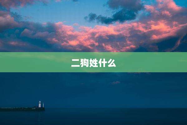二狗姓什么