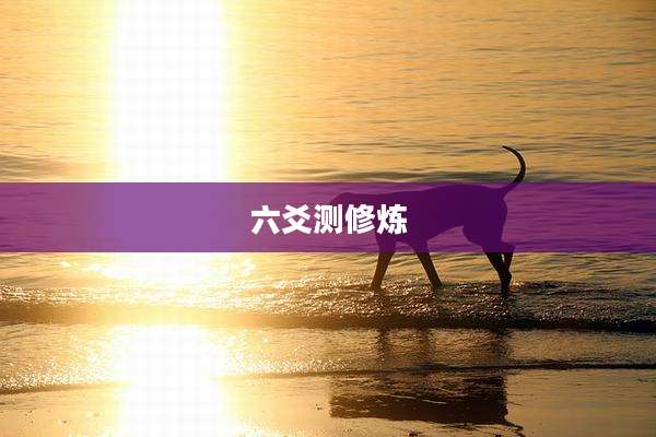 六爻测修炼