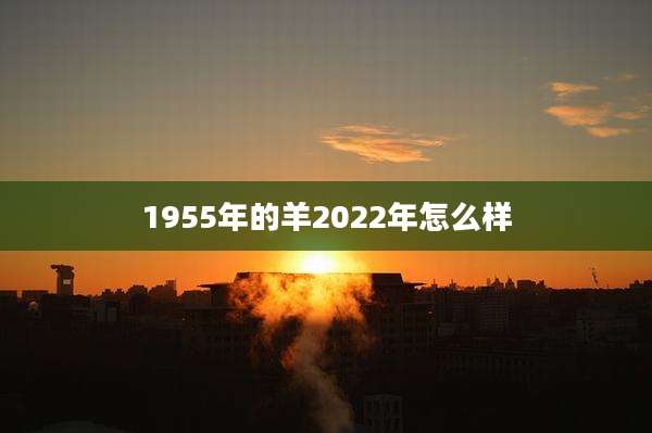 1955年的羊2022年怎么样