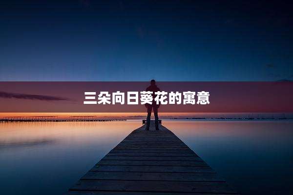 三朵向日葵花的寓意