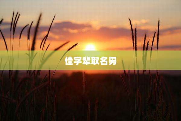 佳字辈取名男