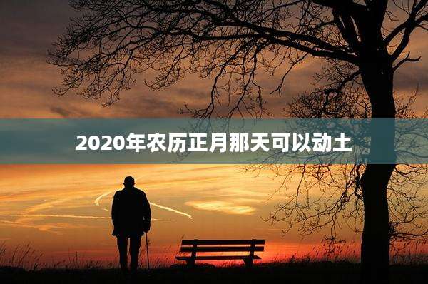 2020年农历正月那天可以动土