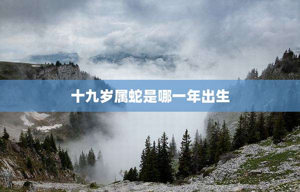 十九岁属蛇是哪一年出生