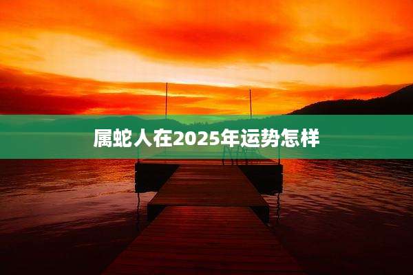 属蛇人在2025年运势怎样