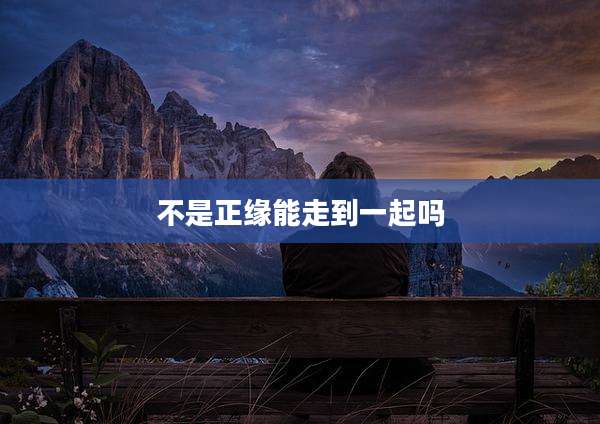 不是正缘能走到一起吗