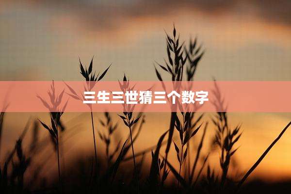 三生三世猜三个数字