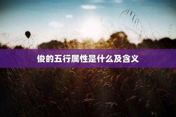 俊的五行属性是什么及含义