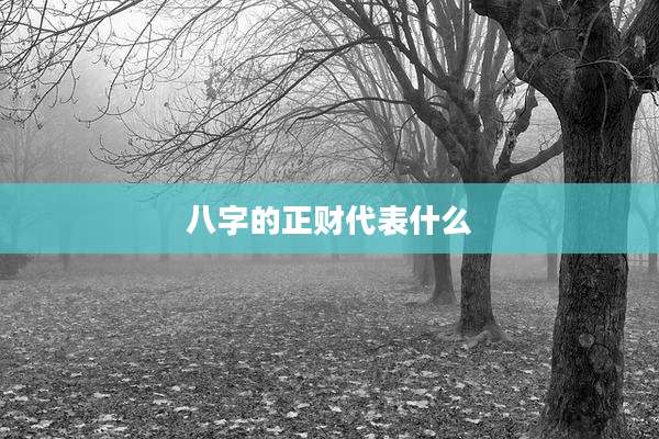 八字的正财代表什么