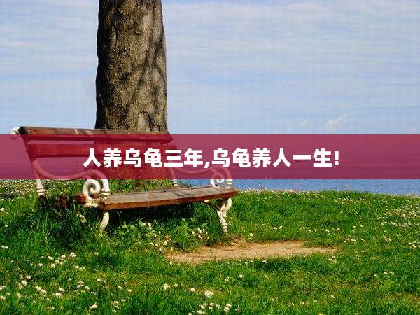 人养乌龟三年,乌龟养人一生!