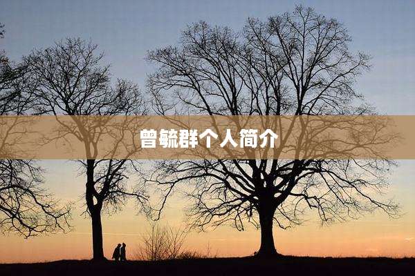 曾毓群个人简介